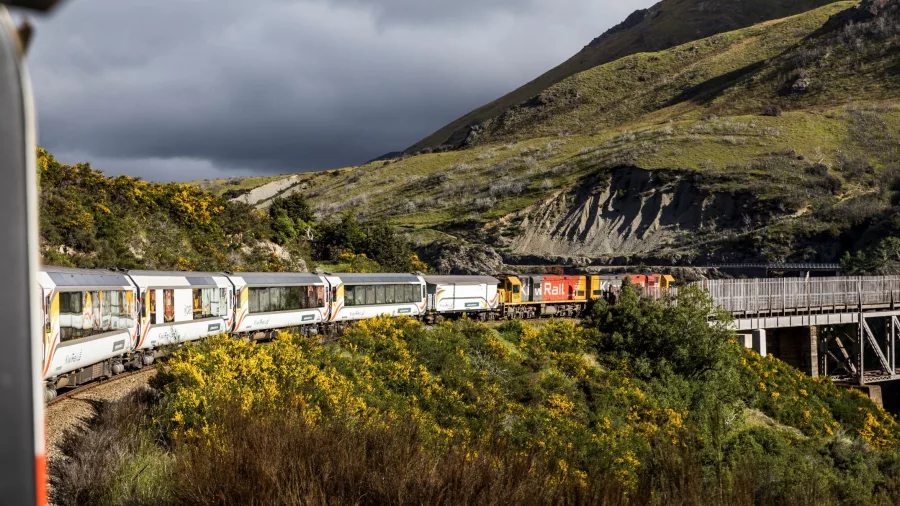 The TranzAlpine train winding through Arthur’s Pass with scenic mountain views in New Zealand.
