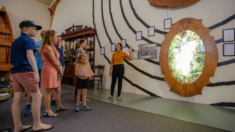 Family on a guided tour inside The Kauri Museum viewing a display of giant kauri tree rings and historic information panels