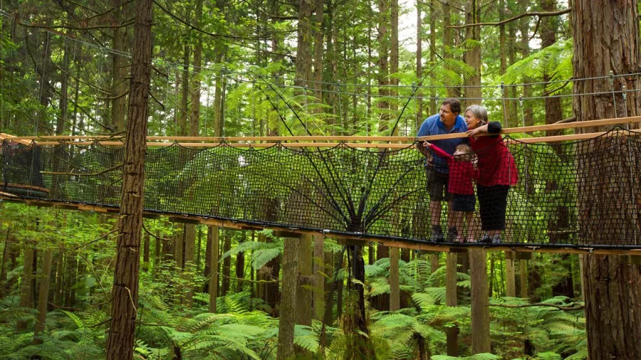 Family enjoying the forest canopy together at Redwoods Treewalk Rotorua
