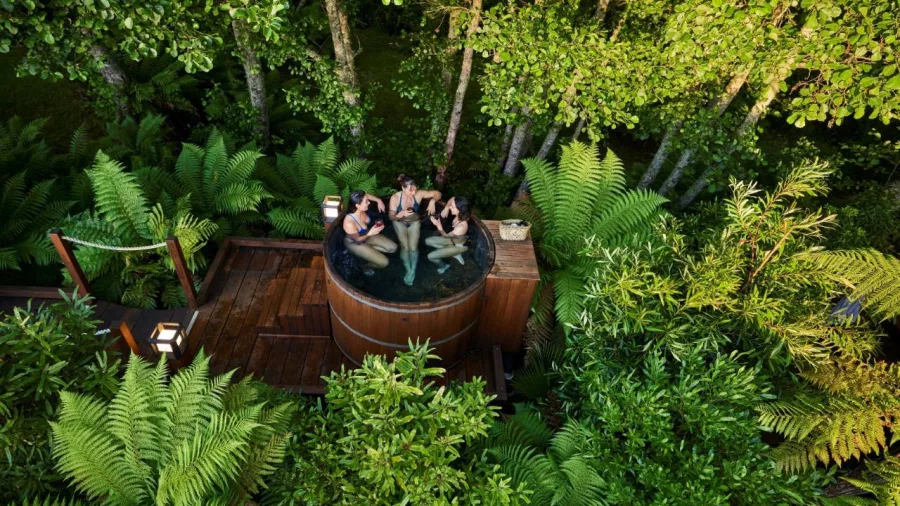 Aerial view of a group enjoying a hot tub surrounded by greenery at Secret Spot Hot Tubs Rotorua