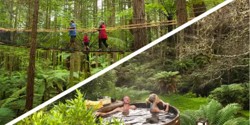 Split image showing treetop walk in Rotorua’s Redwoods Forest and people relaxing in Secret Spot Hot Tubs