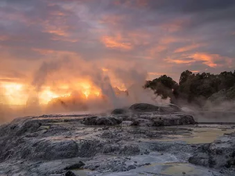 Steam rising from Pohutu Geyser at Te Puia geothermal park in Rotorua during sunrise