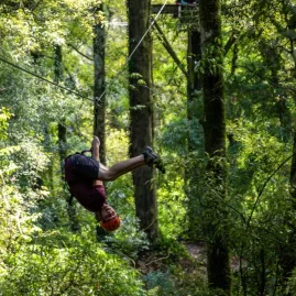 Person ziplining upside down through native forest in Rotorua, New Zealand