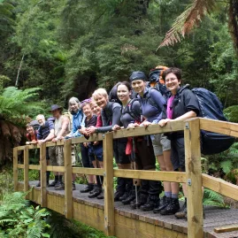 Group of hikers on a wooden bridge in Whirinaki National Park’s native bush