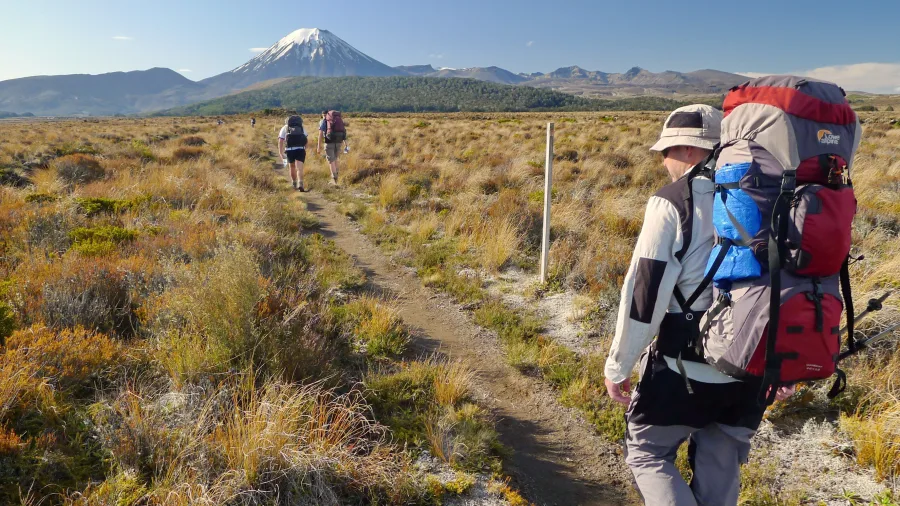 Backpackers hiking the Desert Road route towards Waihohonu Hut in Tongariro National Park