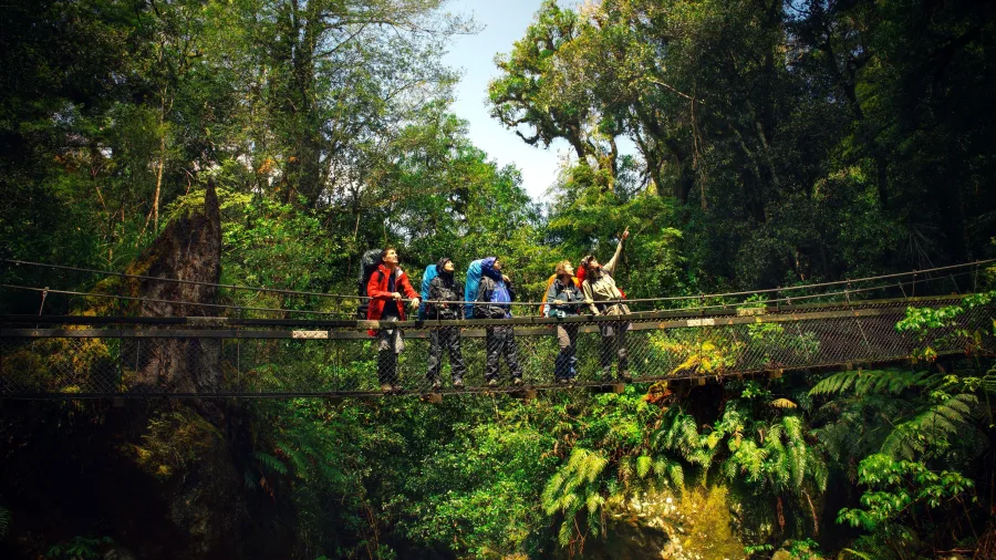 Hiking group crossing a suspension bridge in New Zealand back country