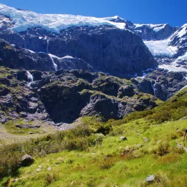 Trampers hiking toward Rob Roy Glacier in Mount Aspiring National Park