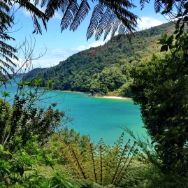 View through native bush to turquoise waters and beach in Abel Tasman National Park