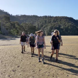 Hiking group crossing tidal flats on the Abel Tasman Coast Track during low tide