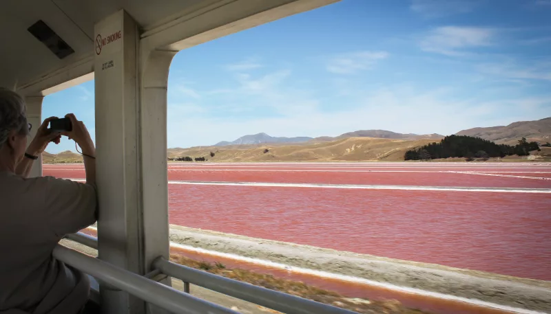 Viewing Lake Grassmere salt plains from the Coastal Pacific Train