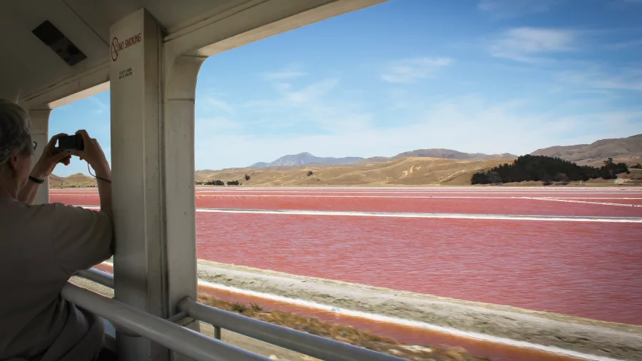 Viewing Lake Grassmere salt plains from the Coastal Pacific Train