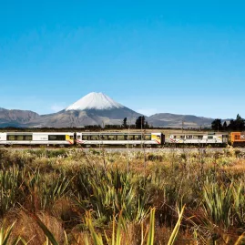 Northern Explorer Train passing Tongariro National Park