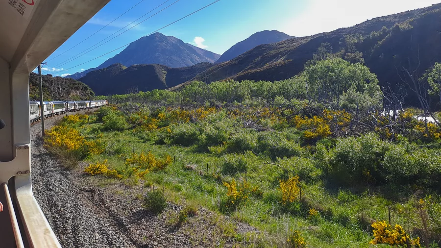 View of TranzAlpine train in mountain landscape