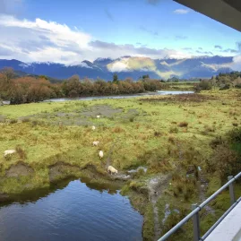 View from TranzAlpine Train of sheep near Crooked River
