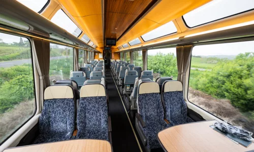 TranzAlpine train scenic interior with panoramic windows