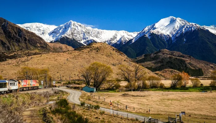 TranzAlpine train near Cass with snow-capped mountains