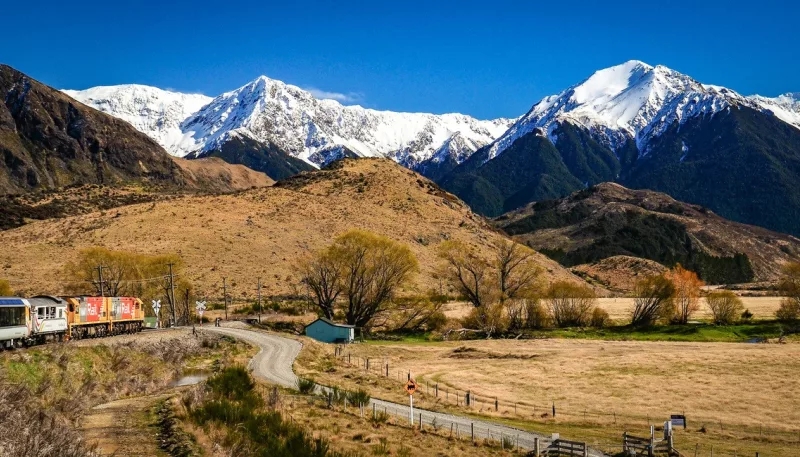TranzAlpine train near Cass with snow-capped mountains