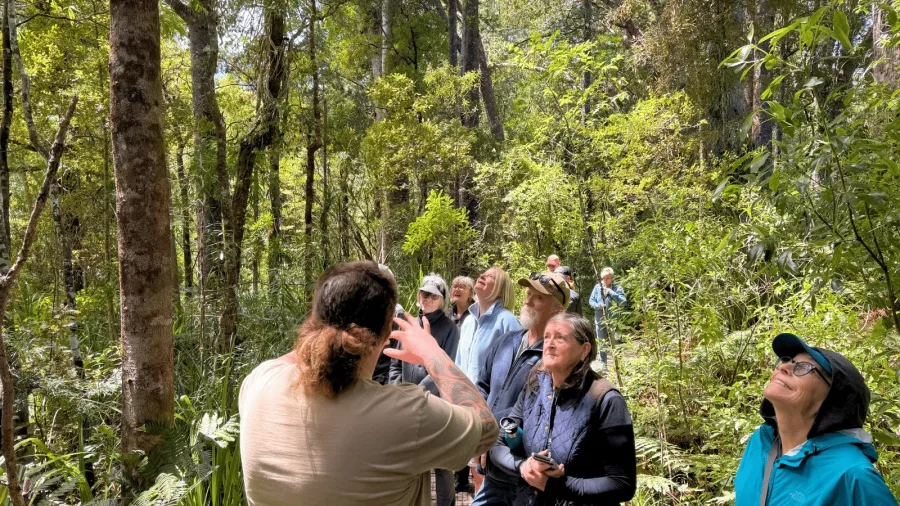 Group of travellers on a guided bushwalk through the Waipoua Forest in Northland