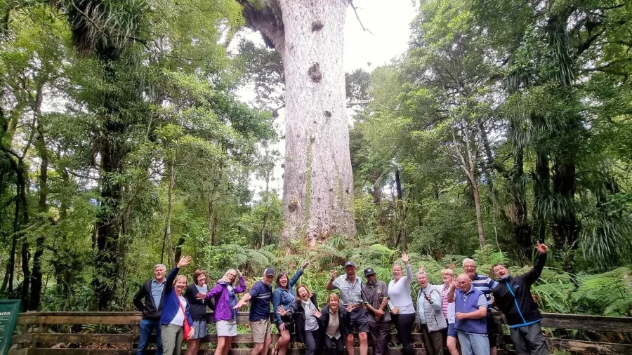 Tour group gathered in front of Tane Mahuta, the giant kauri tree in Waipoua Forest