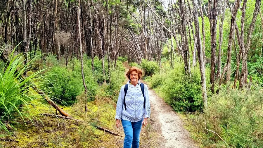 Guest walking through coastal forest in Abel Tasman National Park