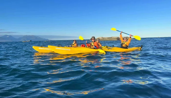 Guests kayaking during golden hour off Kaikōura coast