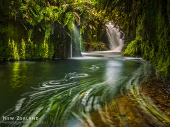 Lush waterfall scene in Kaimai Mamaku Conservation Park, New Zealand