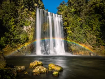 Te Rere I Oturu Falls—also known as Te Rereioturu Falls—is a striking 22-metre multi-tiered cascade in Kaimai-Mamaku Forest Park, reached by a short forest walk through lush regenerating bush.