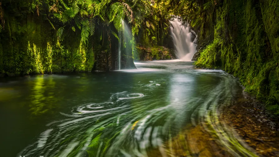 Lush waterfall scene in Kaimai Mamaku Conservation Park, New Zealand
