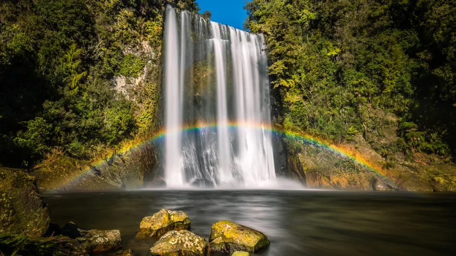 Te Rere I Oturu Falls—also known as Te Rereioturu Falls—is a striking 22-metre multi-tiered cascade in Kaimai-Mamaku Forest Park, reached by a short forest walk through lush regenerating bush.