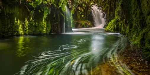 Lush waterfall scene in Kaimai Mamaku Conservation Park, New Zealand