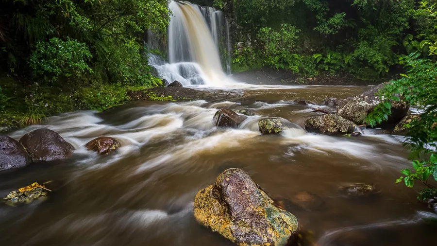 Waiau Falls flowing through native rainforest in Coromandel Peninsula