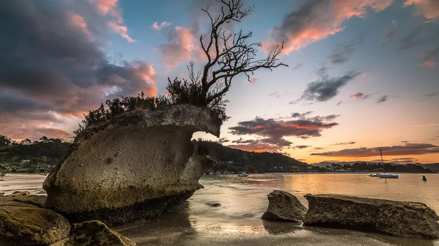 Rocky outcrop on Coromandel beach illuminated by dawn light