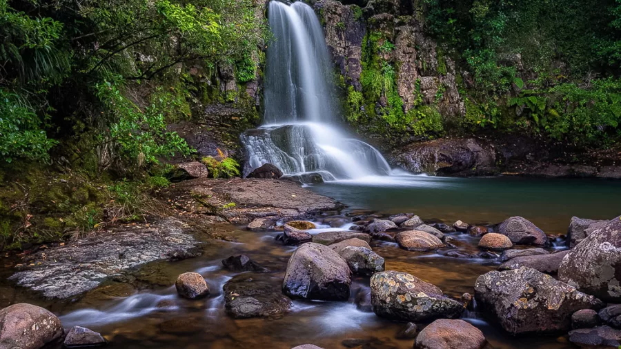 Waiau Falls waterfall on 309 Road surrounded by native bush in Coromandel