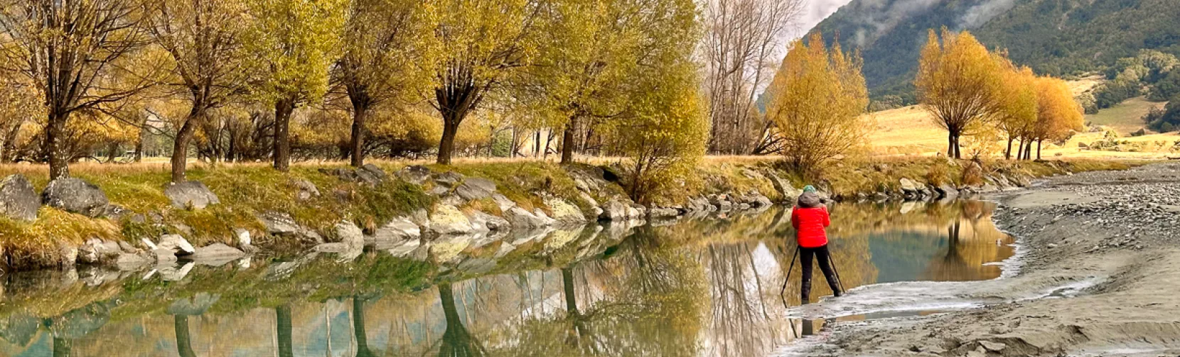 Photographer captures autumn trees reflecting in the still waters of the Shotover River, Central Otago, New Zealand.