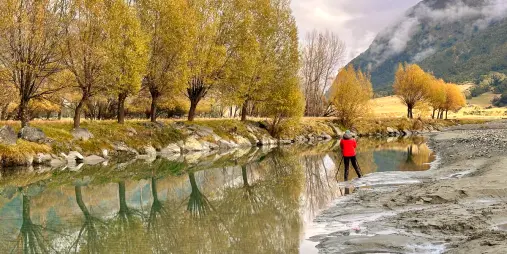 Photographer captures autumn trees reflecting in the still waters of the Shotover River, Central Otago, New Zealand.