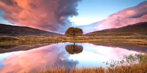 Lone tree and dramatic clouds reflected in pond at sunset, Nevis Valley