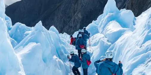 Guided group hiking across blue ice on Franz Josef Glacier