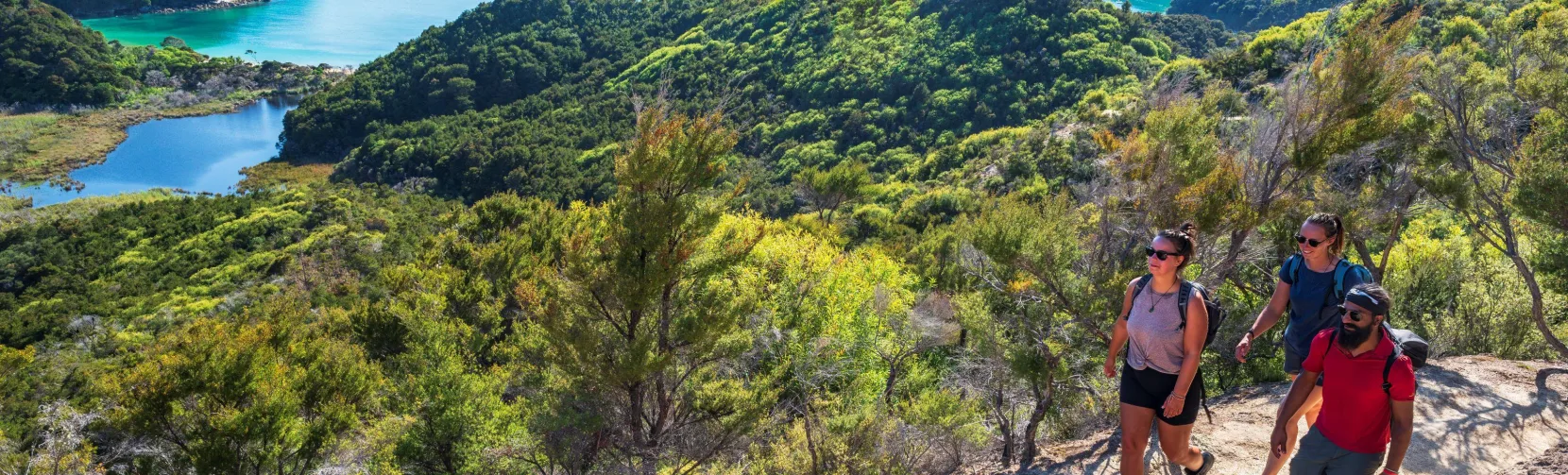 Hikers walking a coastal trail with elevated views over Anchorage in Abel Tasman National Park