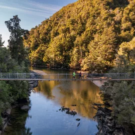 Hikers crossing Falls River swing bridge above a reflective forest stream in Abel Tasman