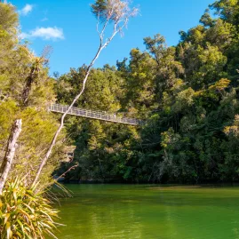 Falls River suspension bridge surrounded by native bush in Abel Tasman National Park