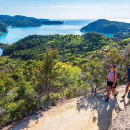 Hikers walking a coastal trail with elevated views over Anchorage in Abel Tasman National Park