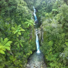 Scenic waterfall cascading through dense native forest in Abel Tasman National Park