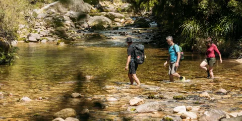 Hikers crossing Fall’s River on foot through shallow water and rocky terrain in Abel Tasman
