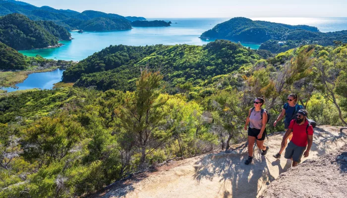 Hikers walking a coastal trail with elevated views over Anchorage in Abel Tasman National Park