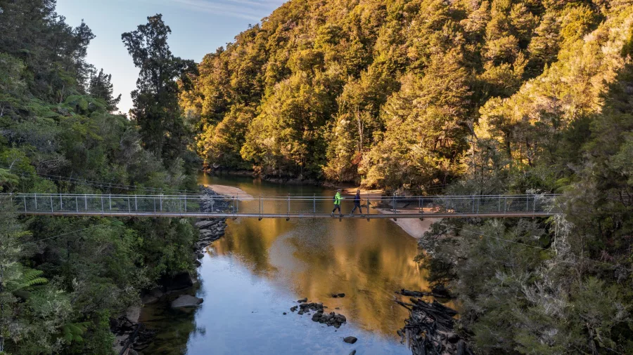 Hikers crossing Falls River swing bridge above a reflective forest stream in Abel Tasman