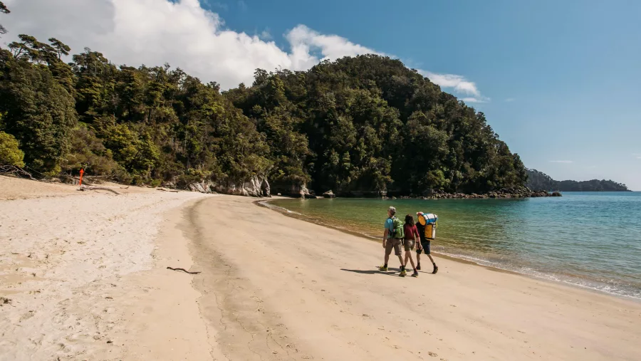 Anchorage Beach with golden sand and clear blue water in Abel Tasman National Park