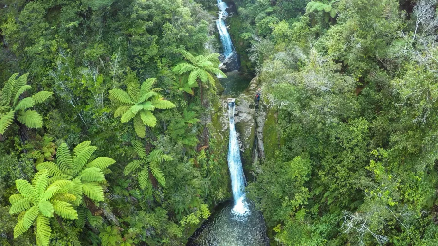 Scenic waterfall cascading through dense native forest in Abel Tasman National Park