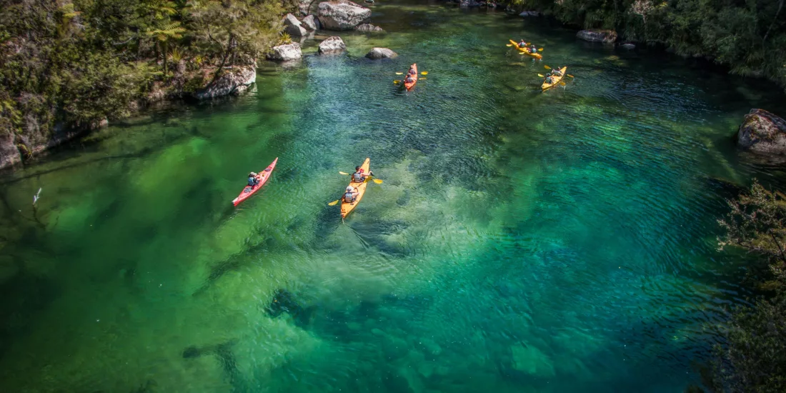 Group kayaking through the clear green waters of Falls River in Abel Tasman