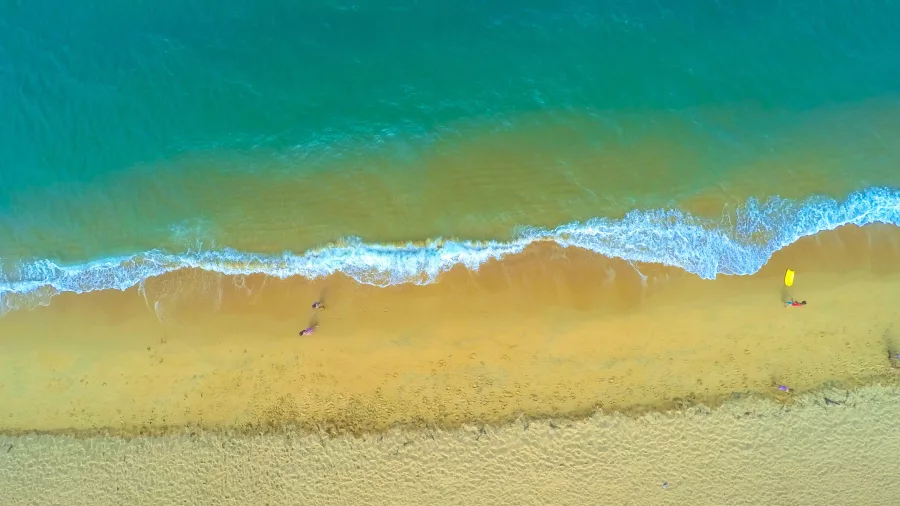 Top-down drone view of waves meeting the golden sand at Kaiteriteri
