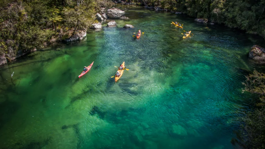 Group kayaking through the clear green waters of Falls River in Abel Tasman